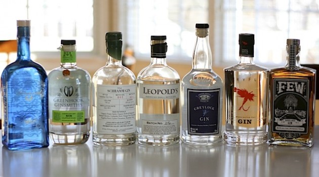 Top 10 American Gins