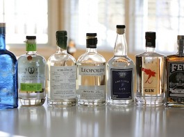 Top 10 American Gins