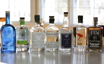Top 10 American Gins