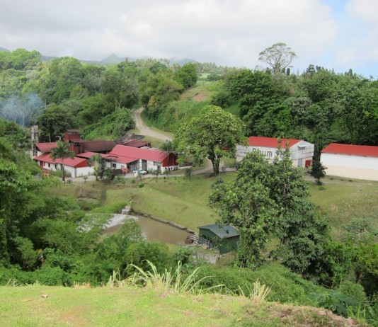 Rhum JM Distillery in Martinique