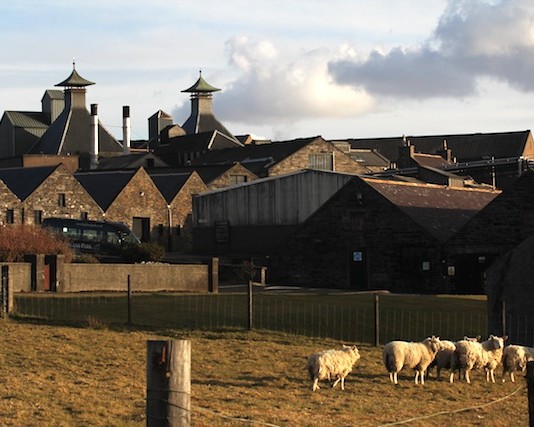 Highland Park Distillery (photo Mark Gillespie)