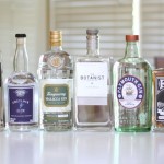 What's In With Gin