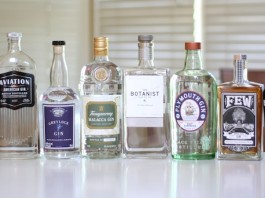 What's In With Gin