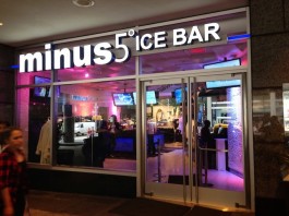 Minus 5 Ice Bar