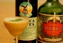 Great Cocktails: The Noisy Cricket The Angry Cricket