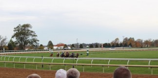 Keeneland's Unique Viewing Experience